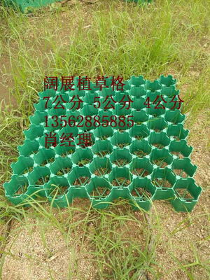 溫州5公分人行道植草格廠家2018全新產(chǎn)品價(jià)格公道闊展闊展